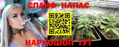 стаф Коммунар