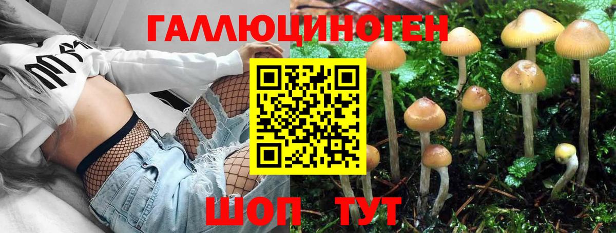 Галлюциногенные грибы мухоморы  Вход с VPN  Кузнецк 